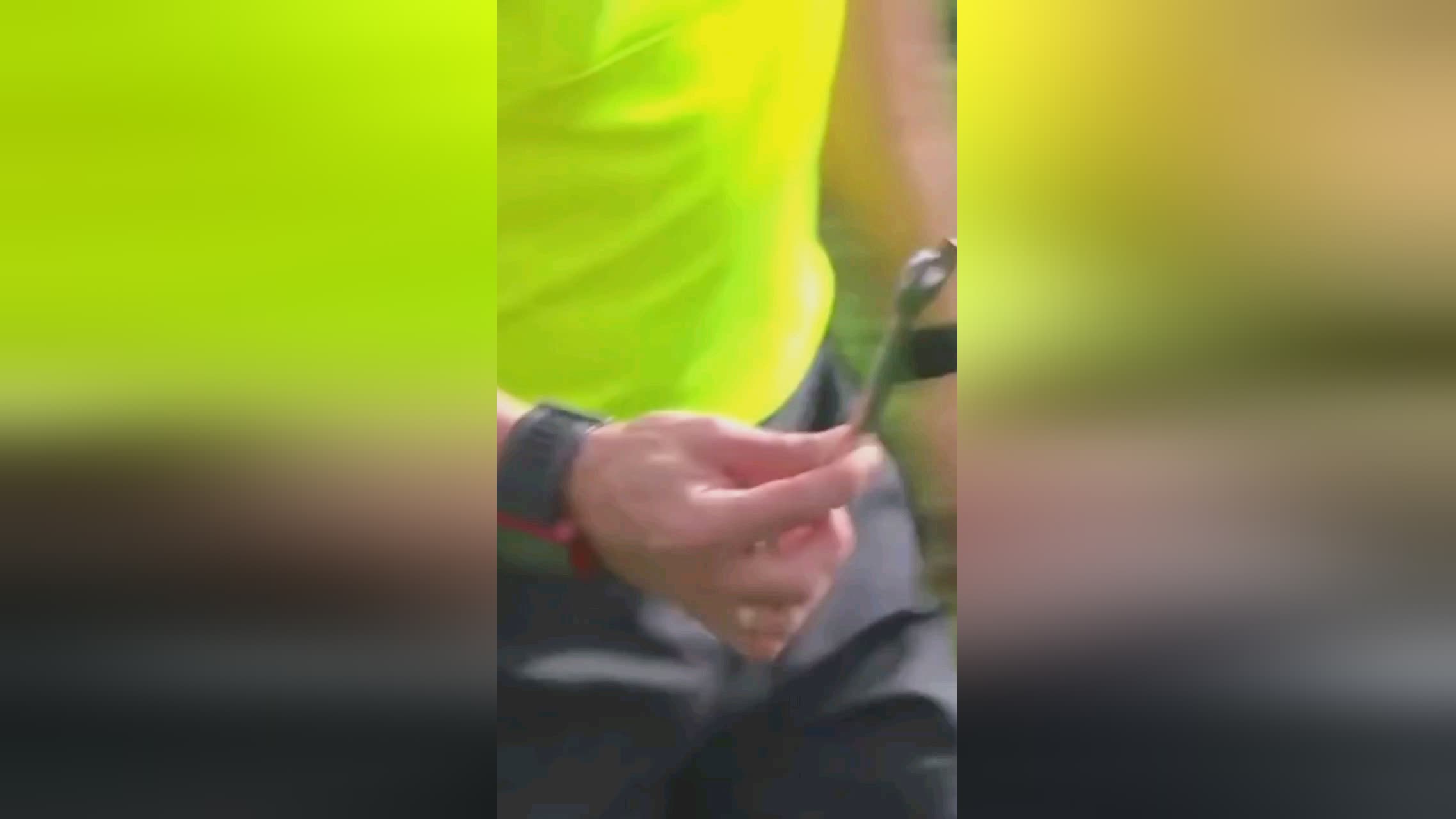 往是他们勇